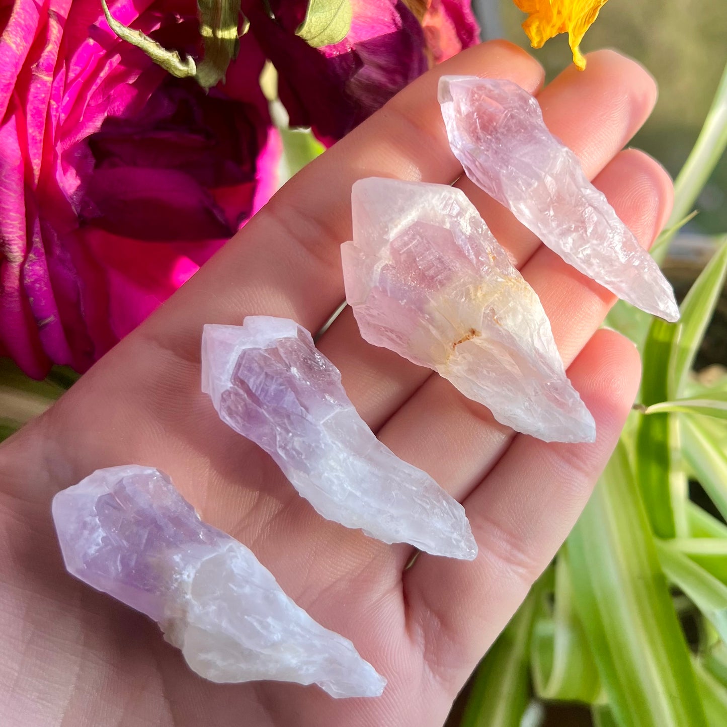 Amethyst Coated Phantom Point