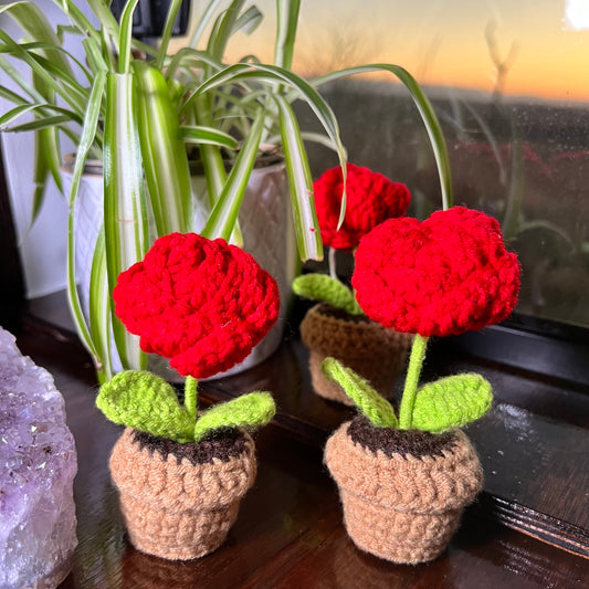Crochet House Plants - Roses