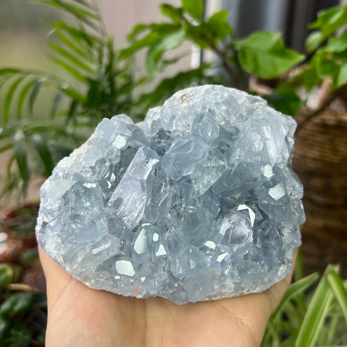 Celestite High Grade Cluster 777g