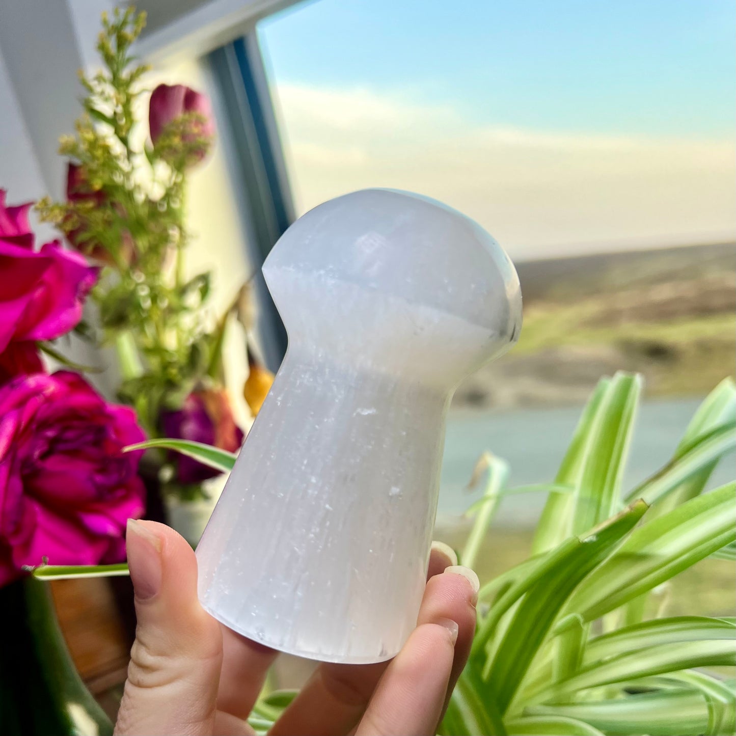 Selenite Mushroom