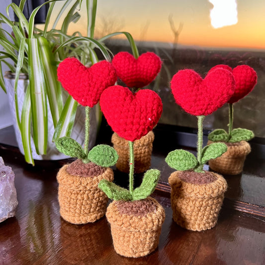 Crochet House Plants - Heart
