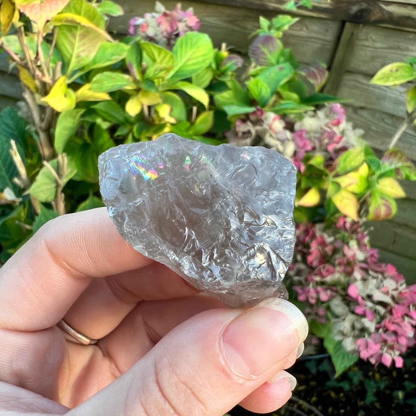 Smokey Quartz Rough Raw Crystal