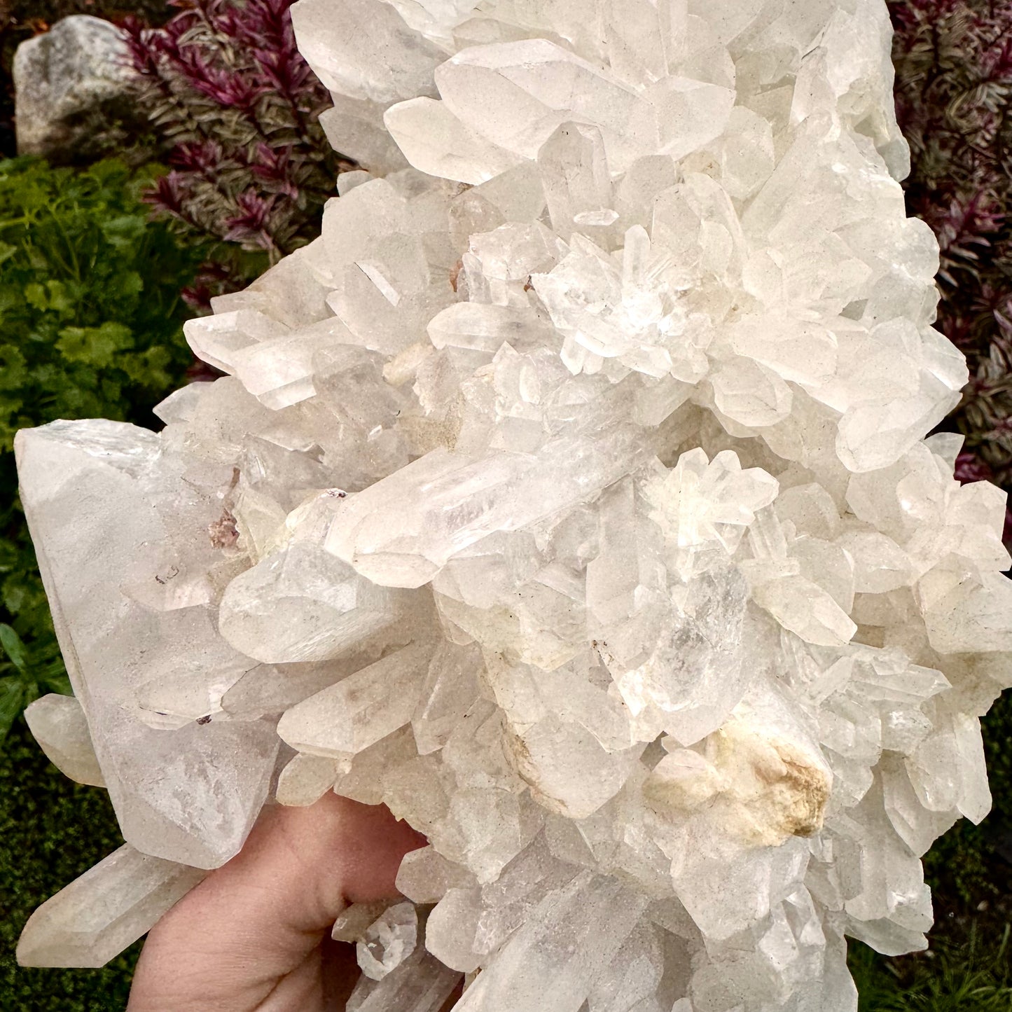 Enchanted Clear Quartz Point Cluster - 2.4KG