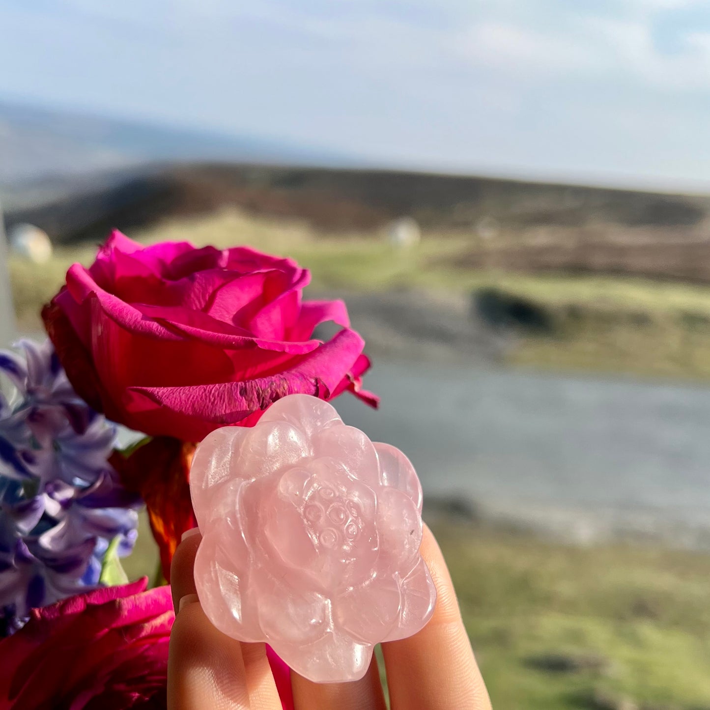 Rose Quartz Roses