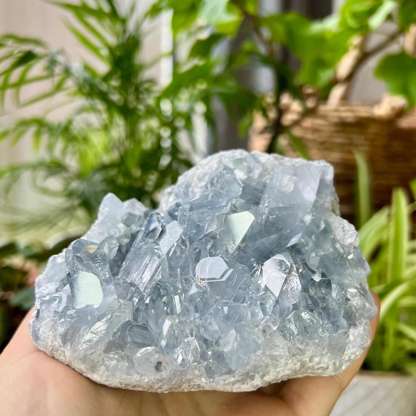Celestite High Grade Cluster 777g