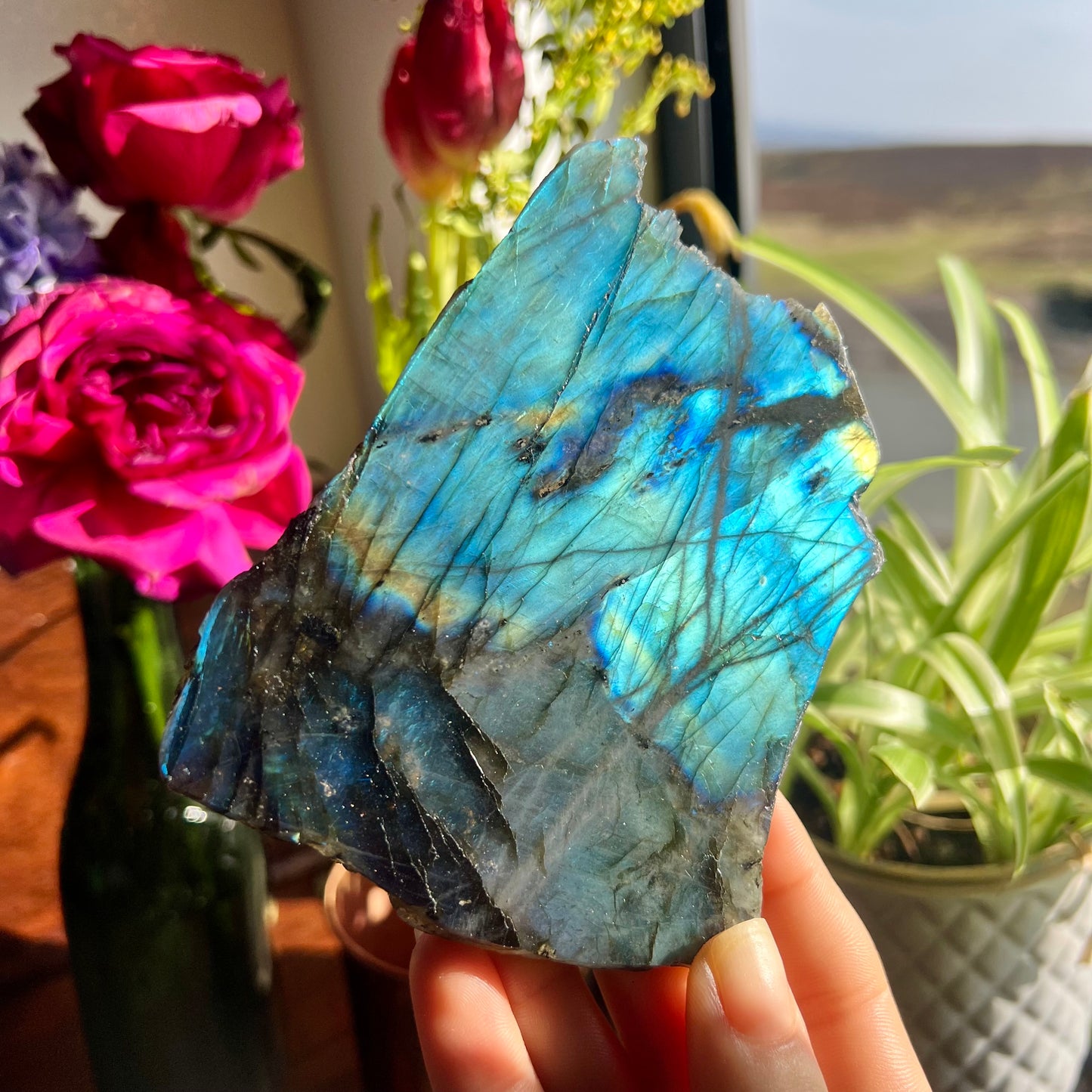 Labradorite Coaster Slab
