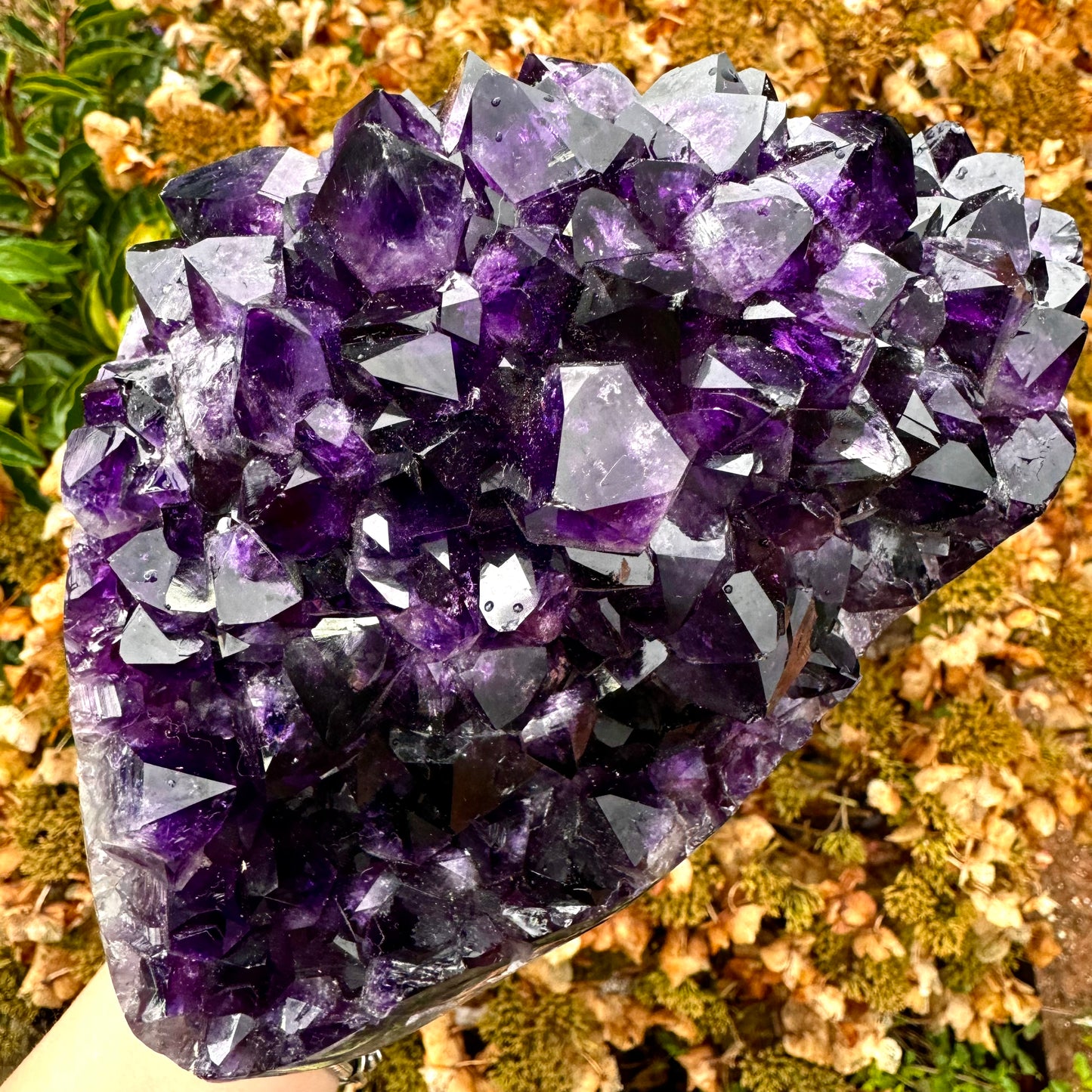 Large Uruguayan Amethyst Deep Purple Cluster - 3.6KG