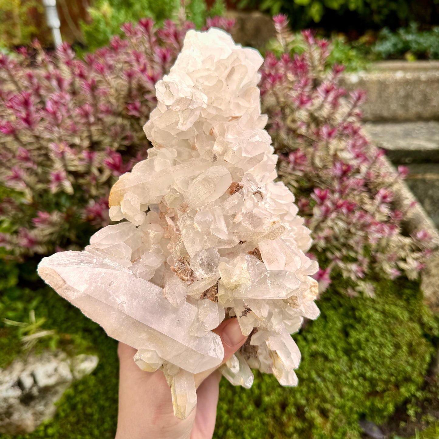 Enchanted Clear Quartz Point Cluster - 2.4KG