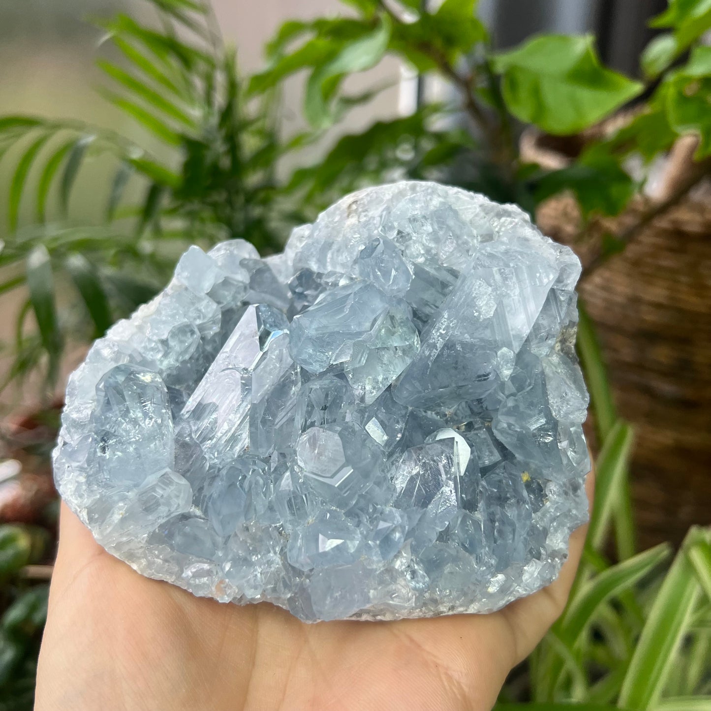 Celestite High Grade Cluster 777g