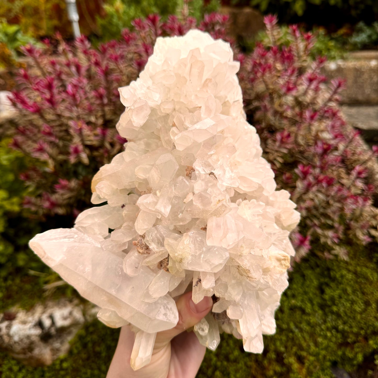 Enchanted Clear Quartz Point Cluster - 2.4KG