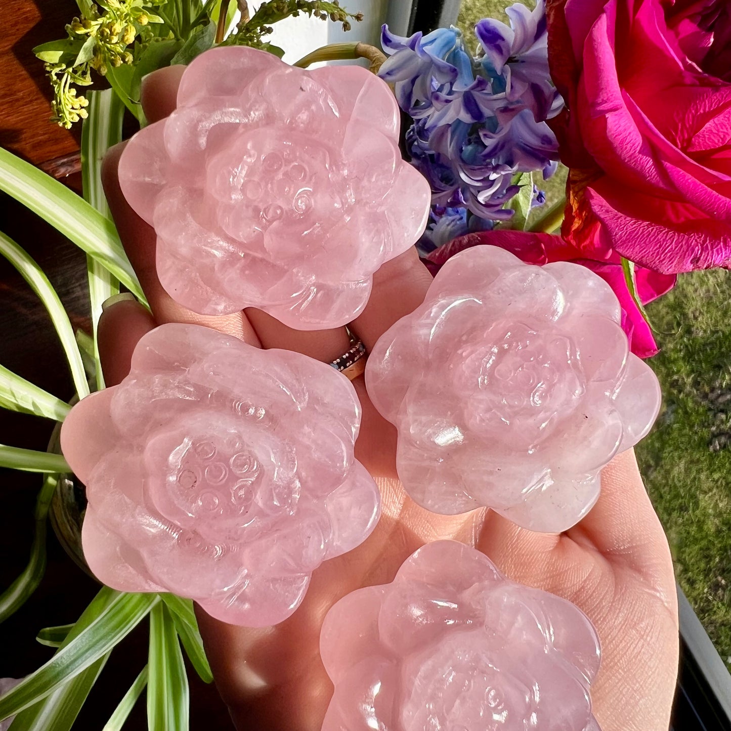 Rose Quartz Roses