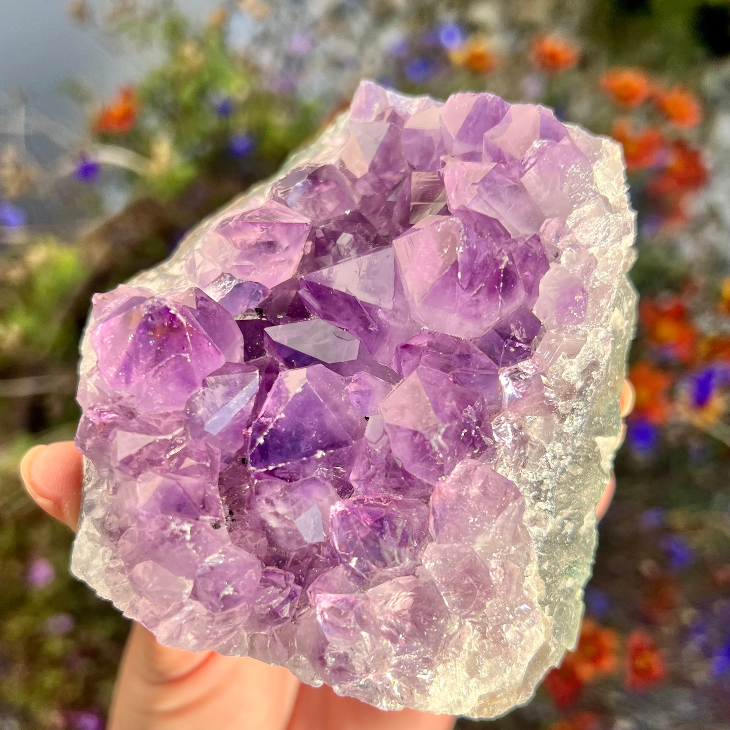 Amethyst Cluster 300g