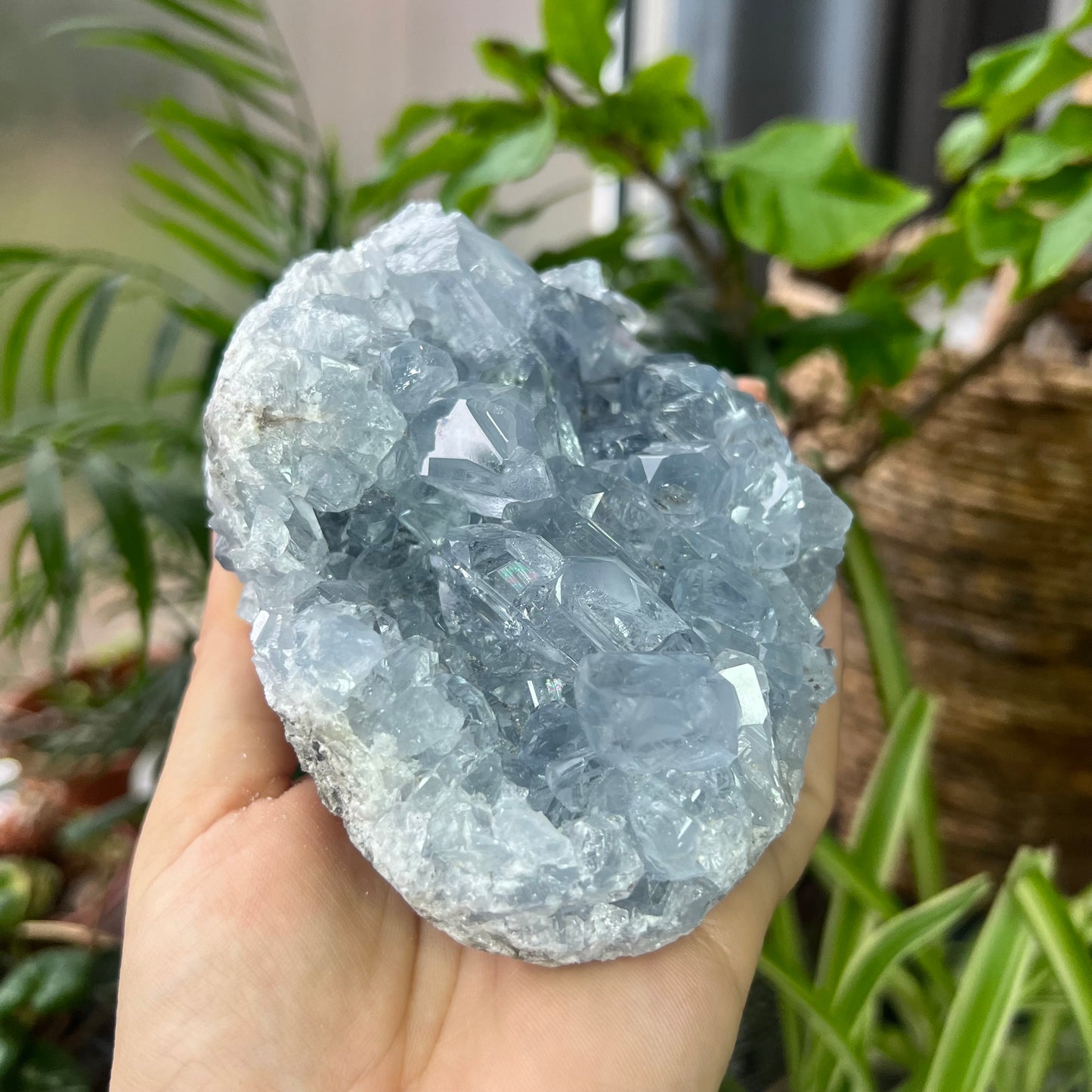 Celestite High Grade Cluster 777g