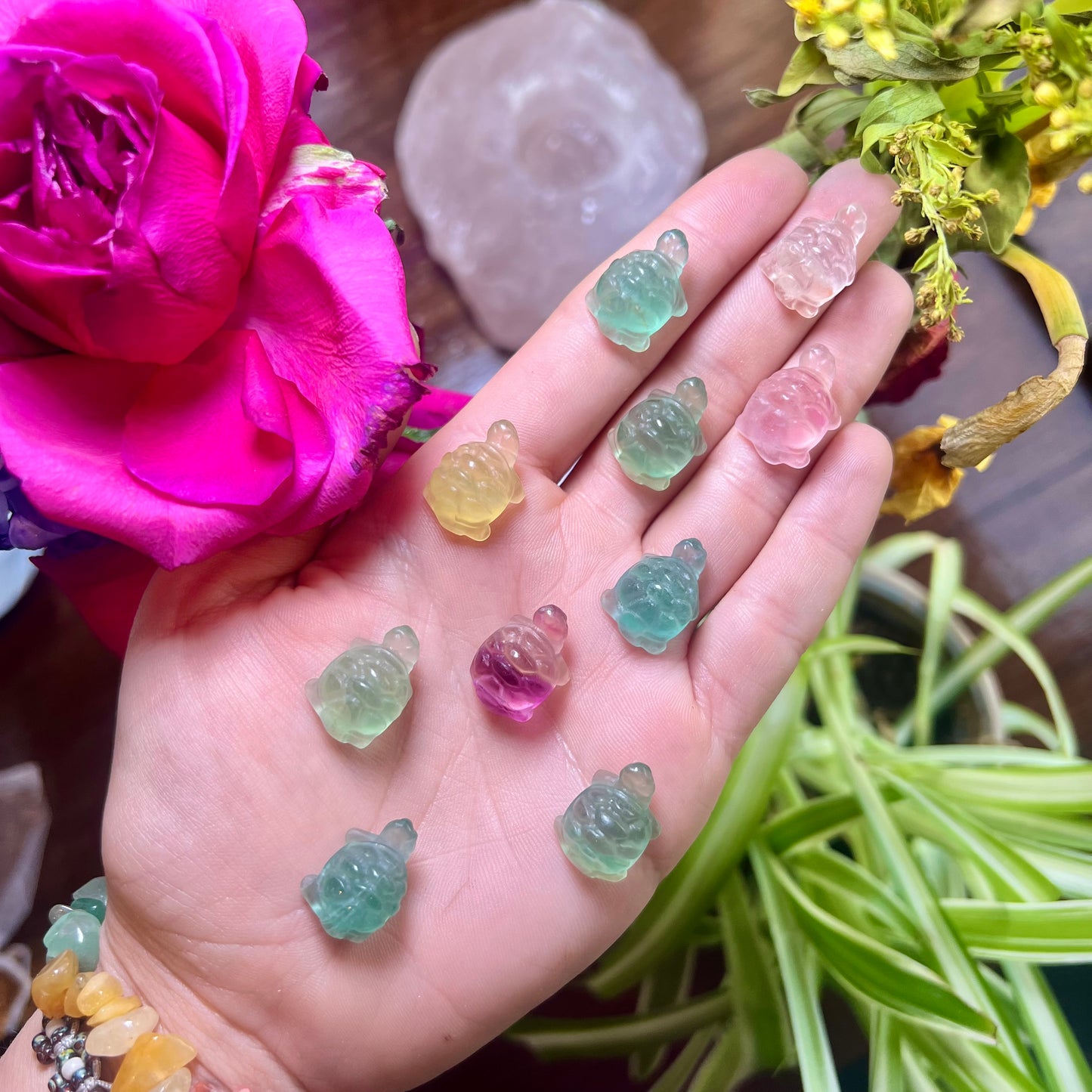 Miniature Fluorite Turtles