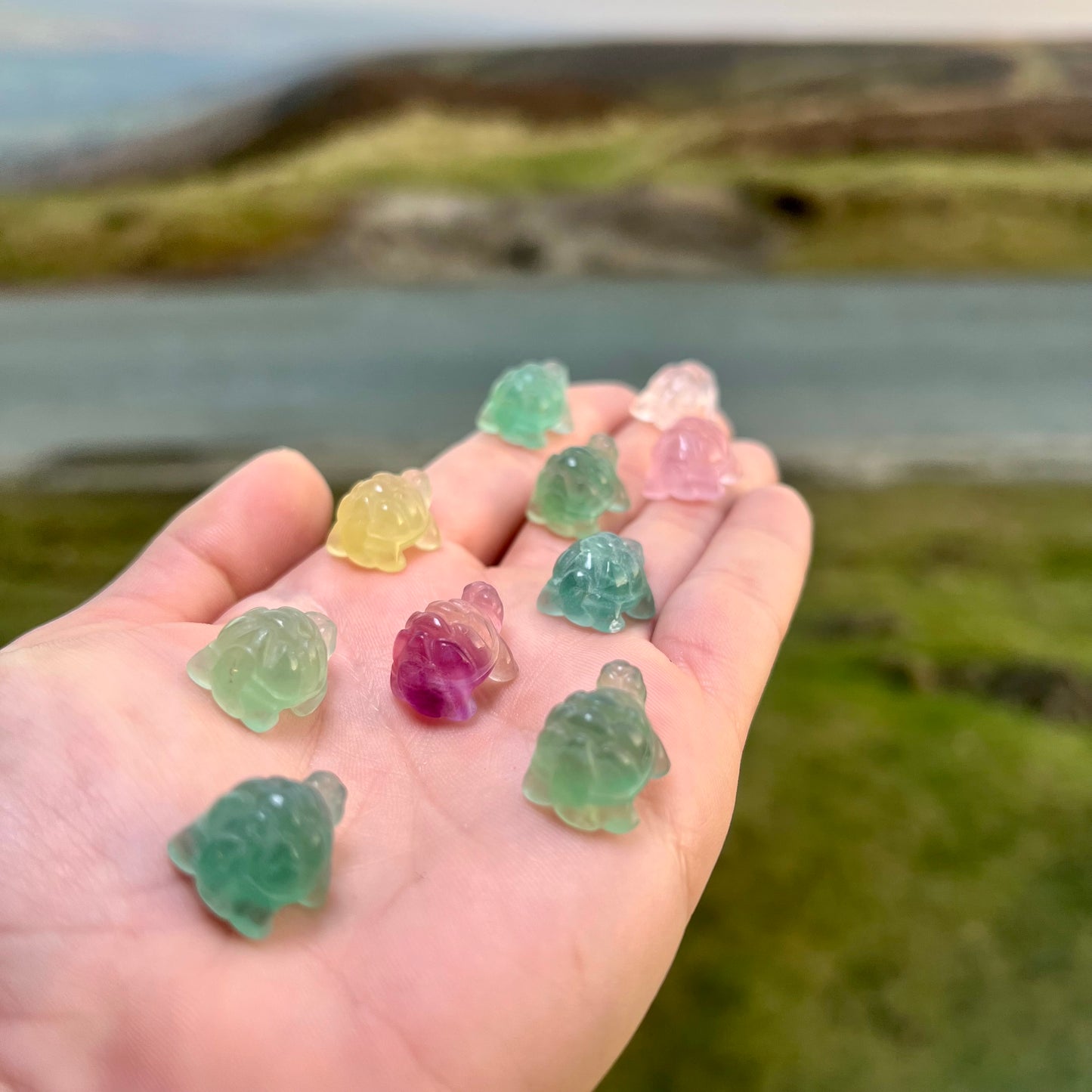 Miniature Fluorite Turtles