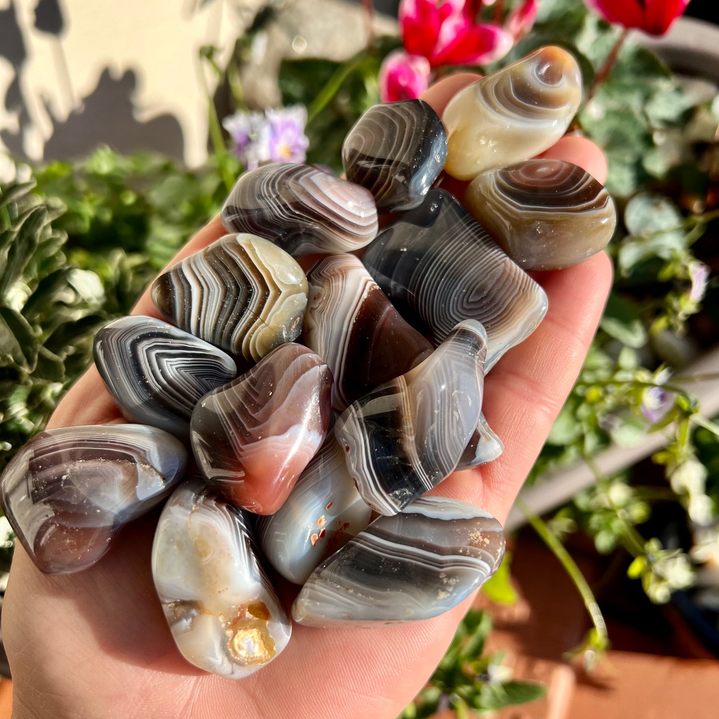 Grey Agate Tumblestones