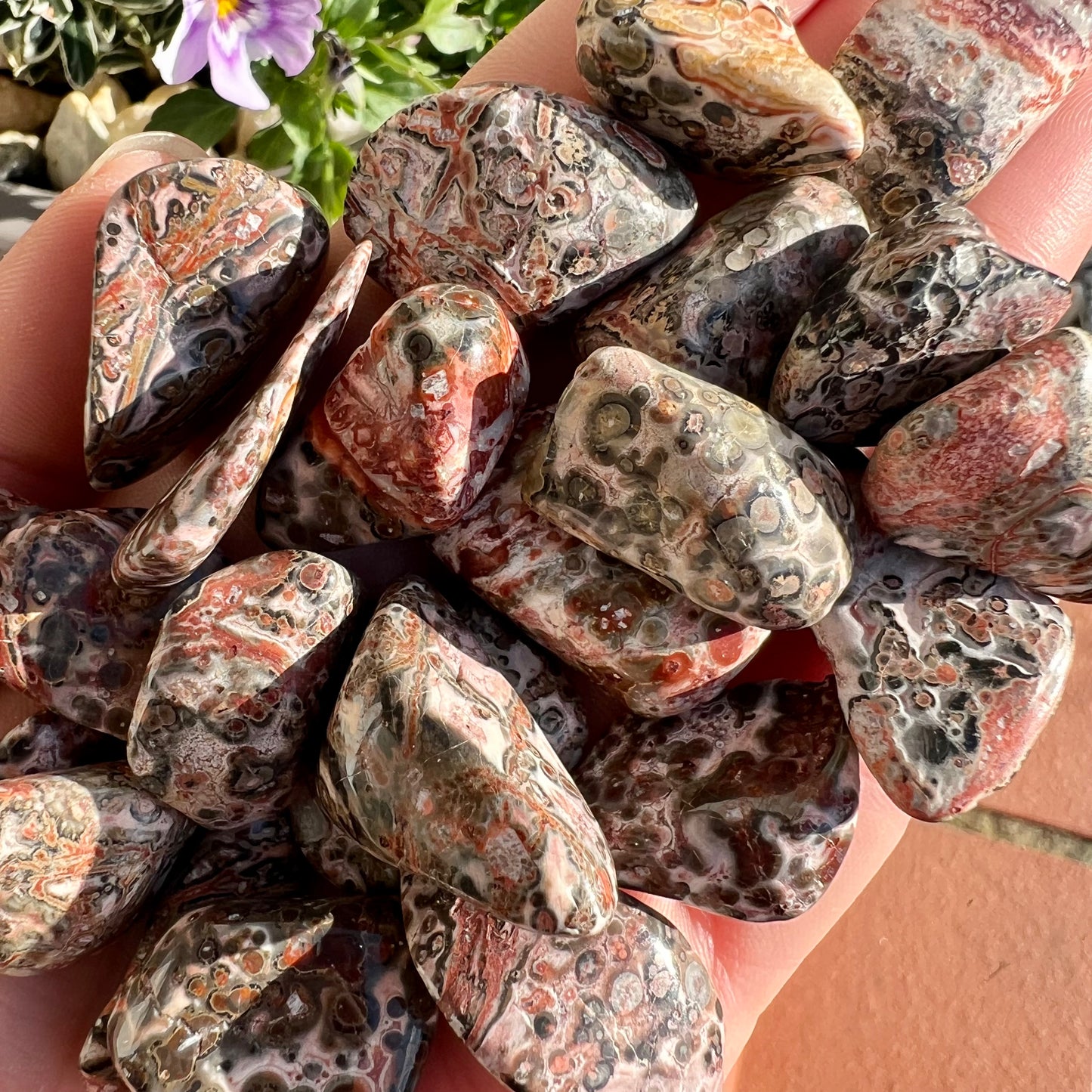 Leopard Skin Jasper Crystal Tumblestone