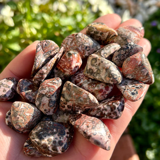 Leopard Skin Jasper Crystal Tumblestone