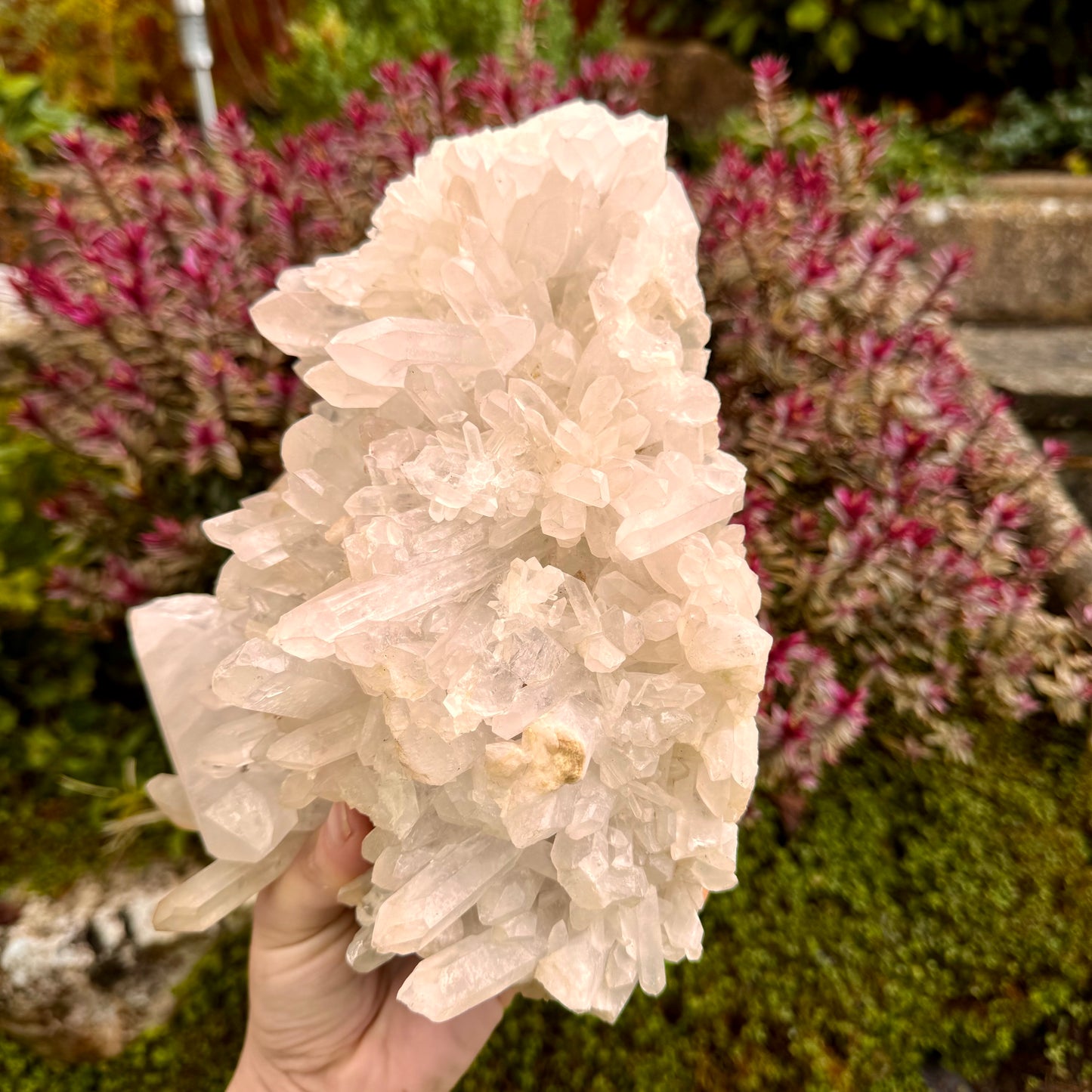 Enchanted Clear Quartz Point Cluster - 2.4KG