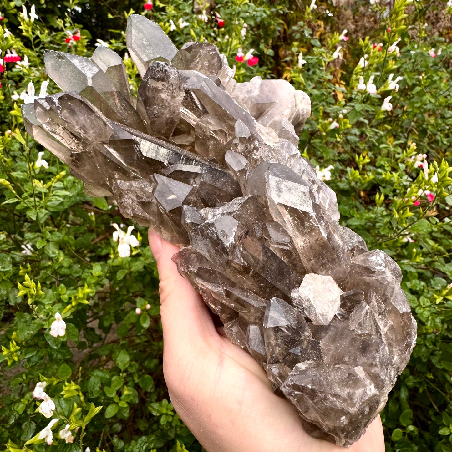 Smokey Quartz High Quality Crystal Point Cluster 1KG