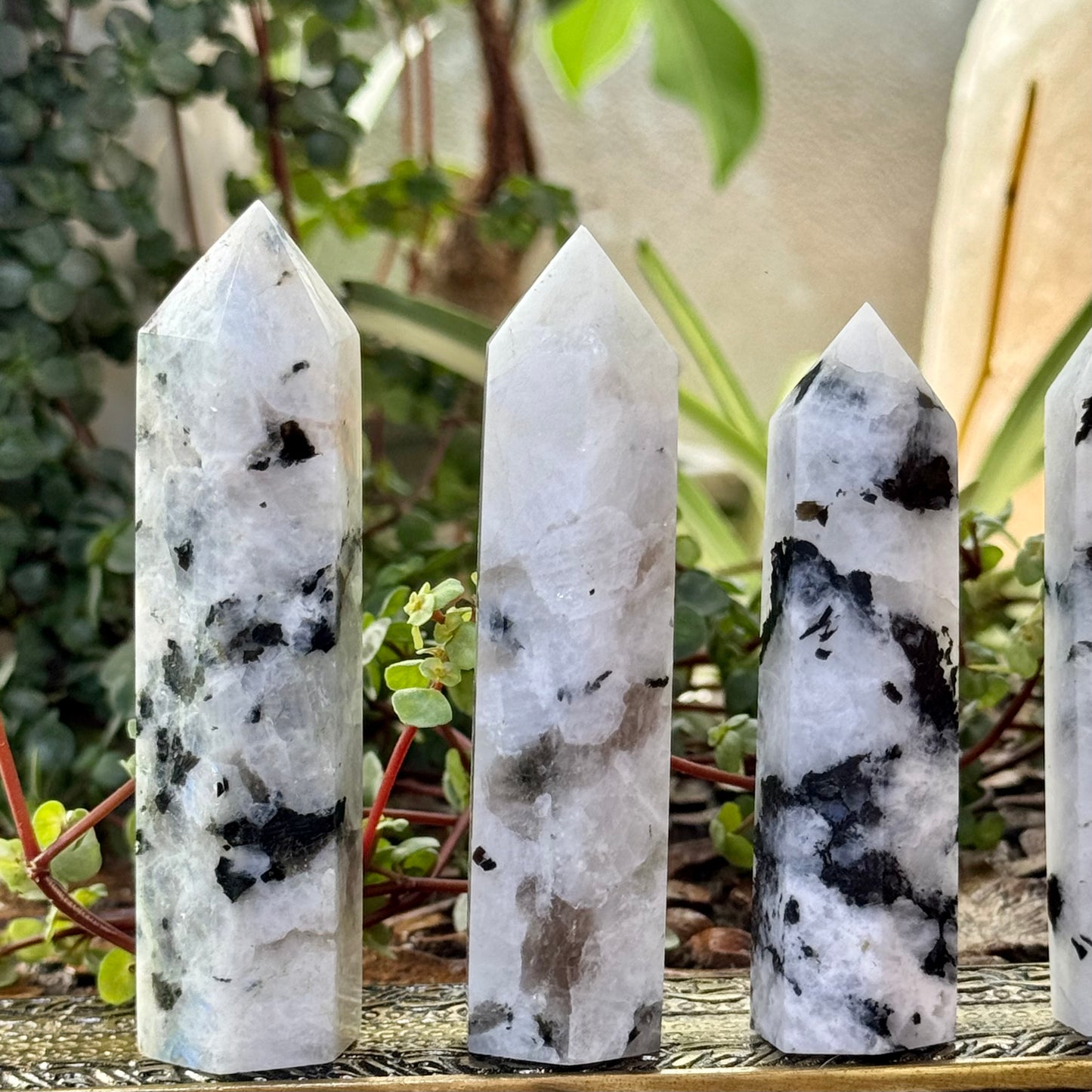 Moonstone Crystal Point