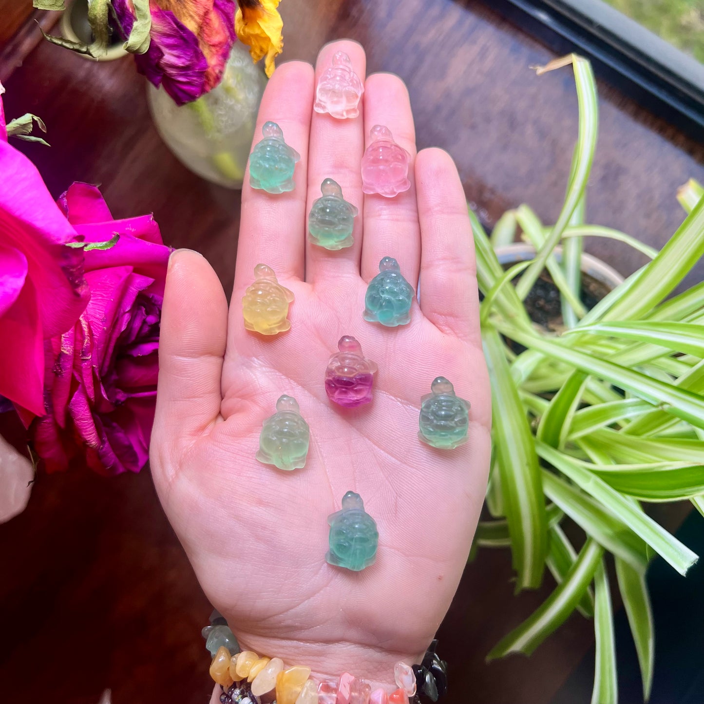 Miniature Fluorite Turtles