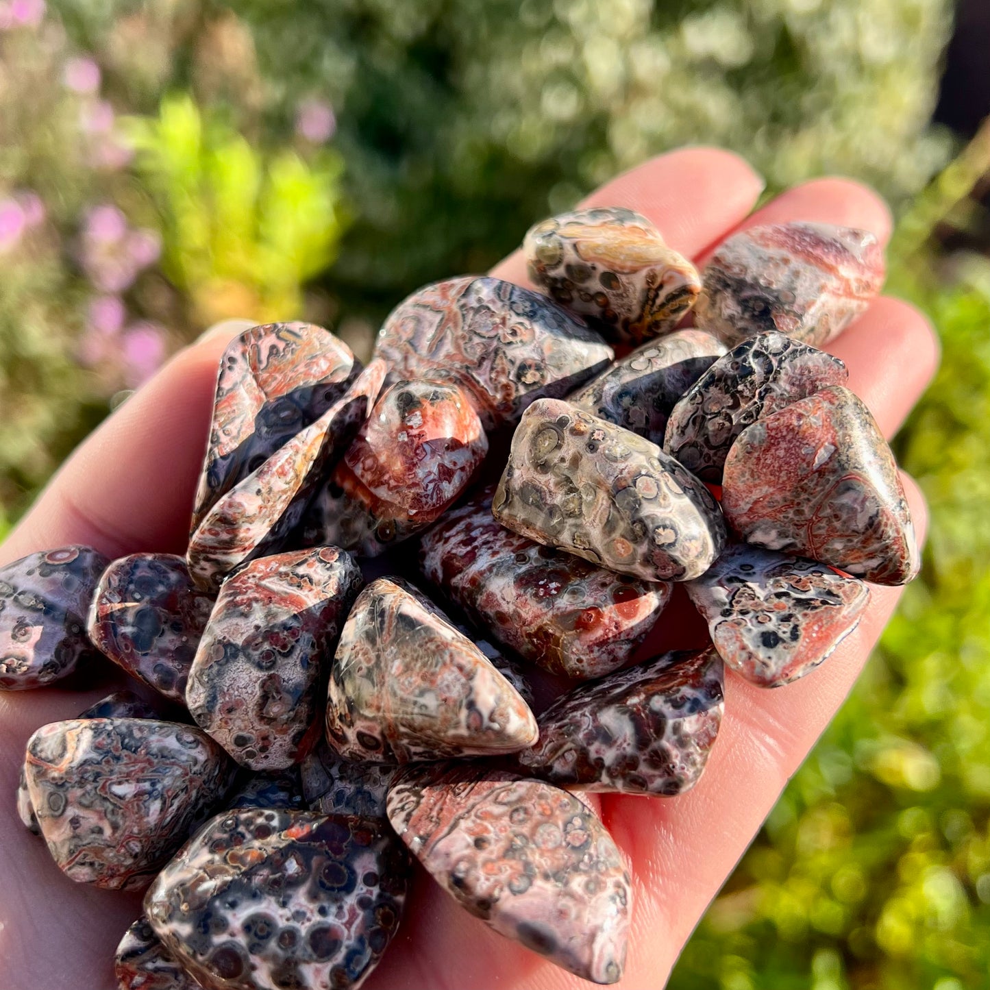 Leopard Skin Jasper Crystal Tumblestone