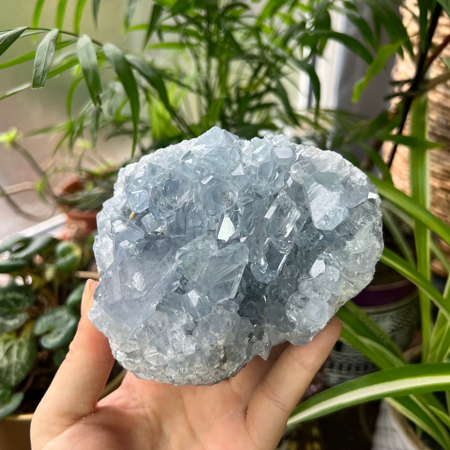 Celestite High Grade Cluster 777g