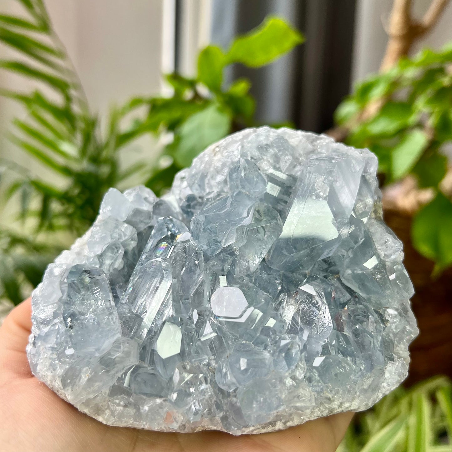 Celestite High Grade Cluster 777g
