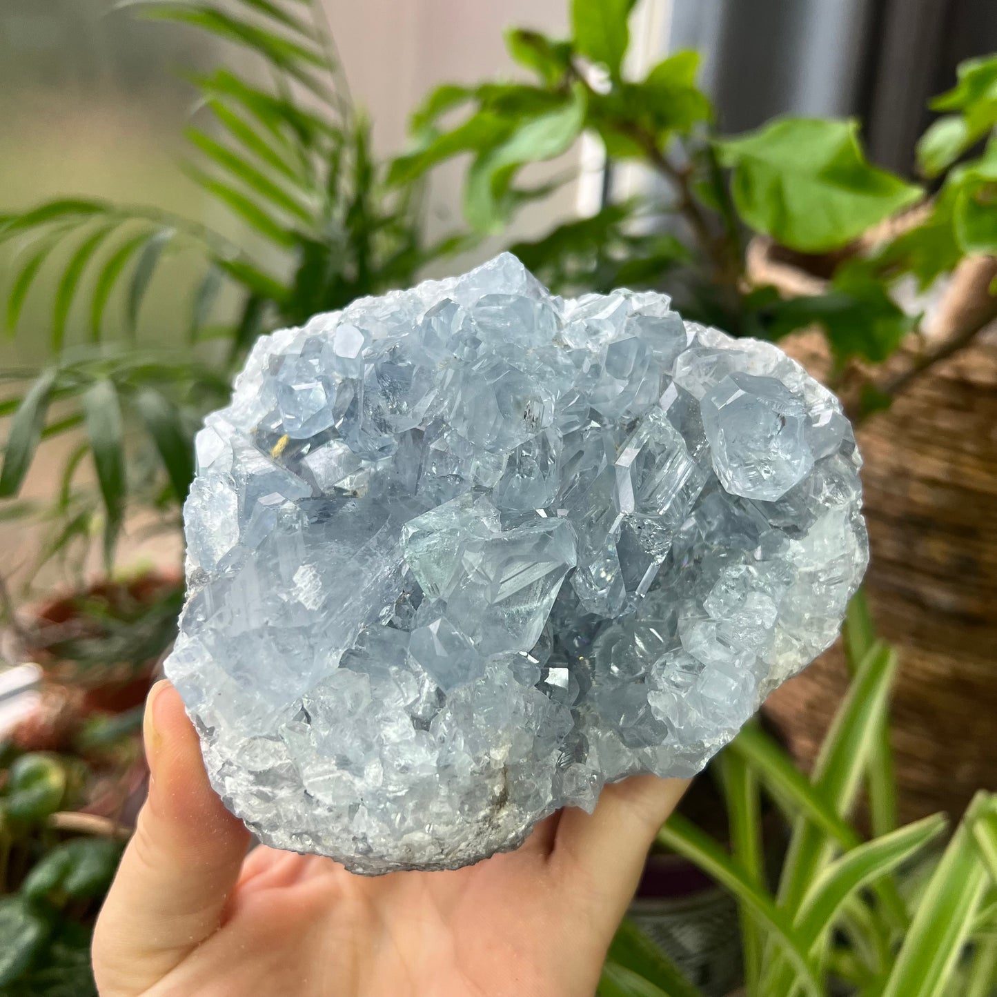 Celestite High Grade Cluster 777g