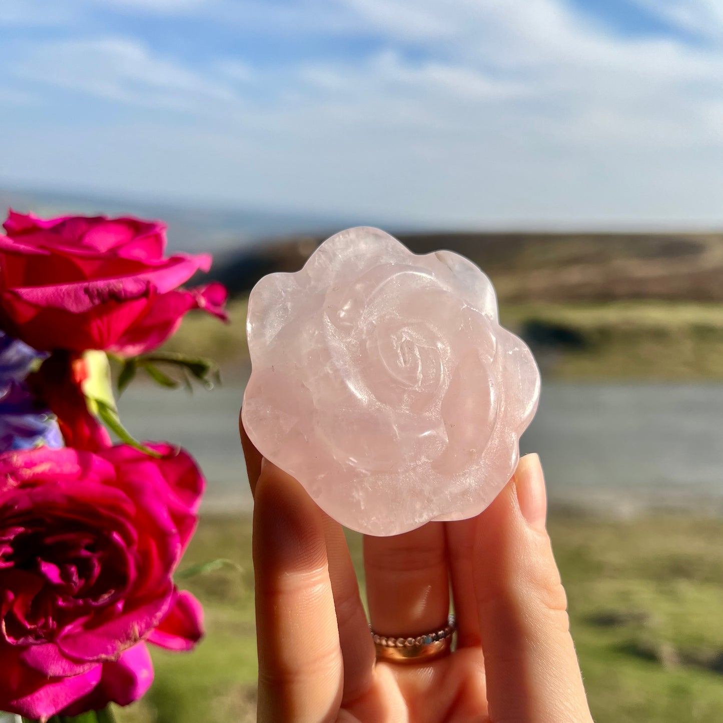 Large Rose Quartz Roses