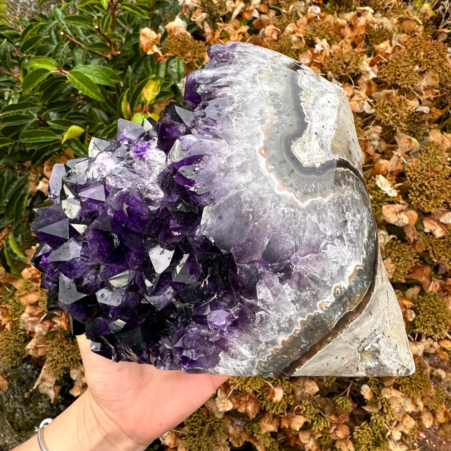 Large Uruguayan Amethyst Deep Purple Cluster - 3.6KG