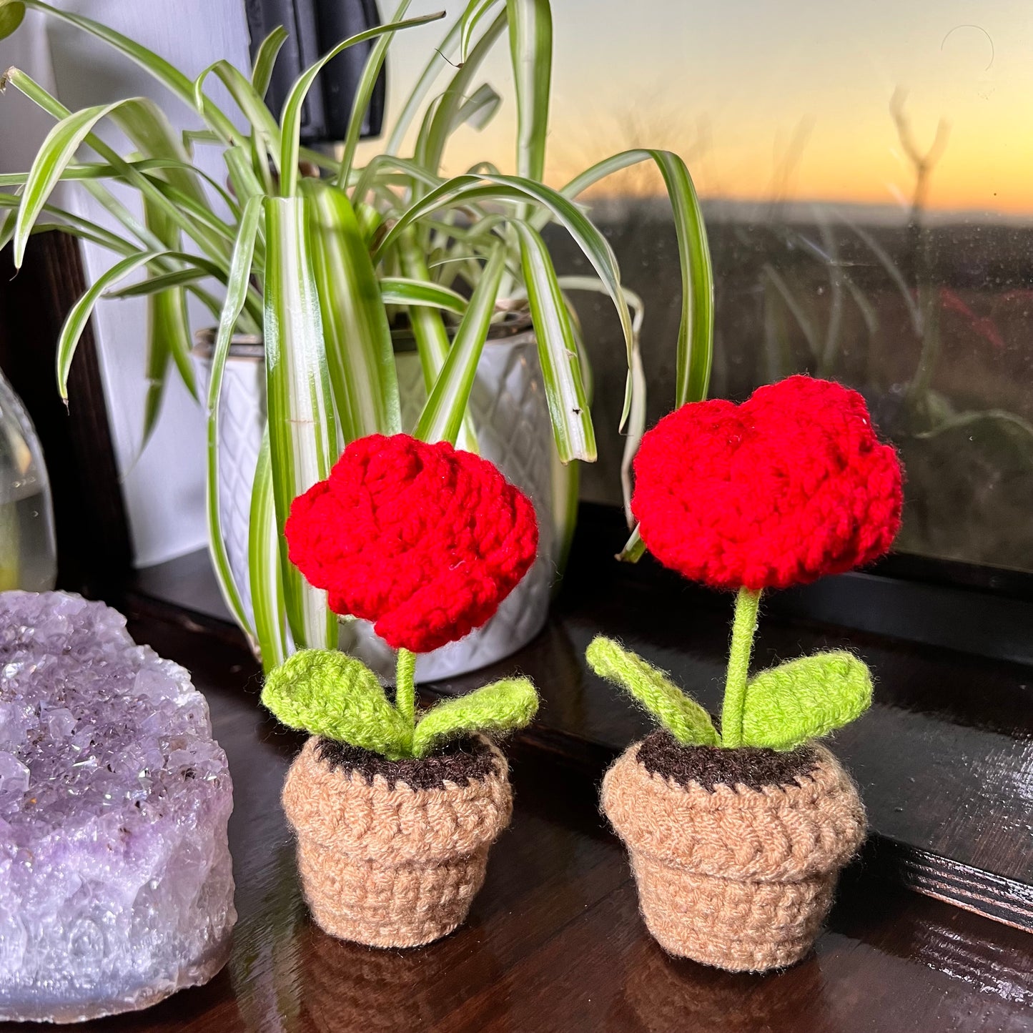 Crochet House Plants - Roses