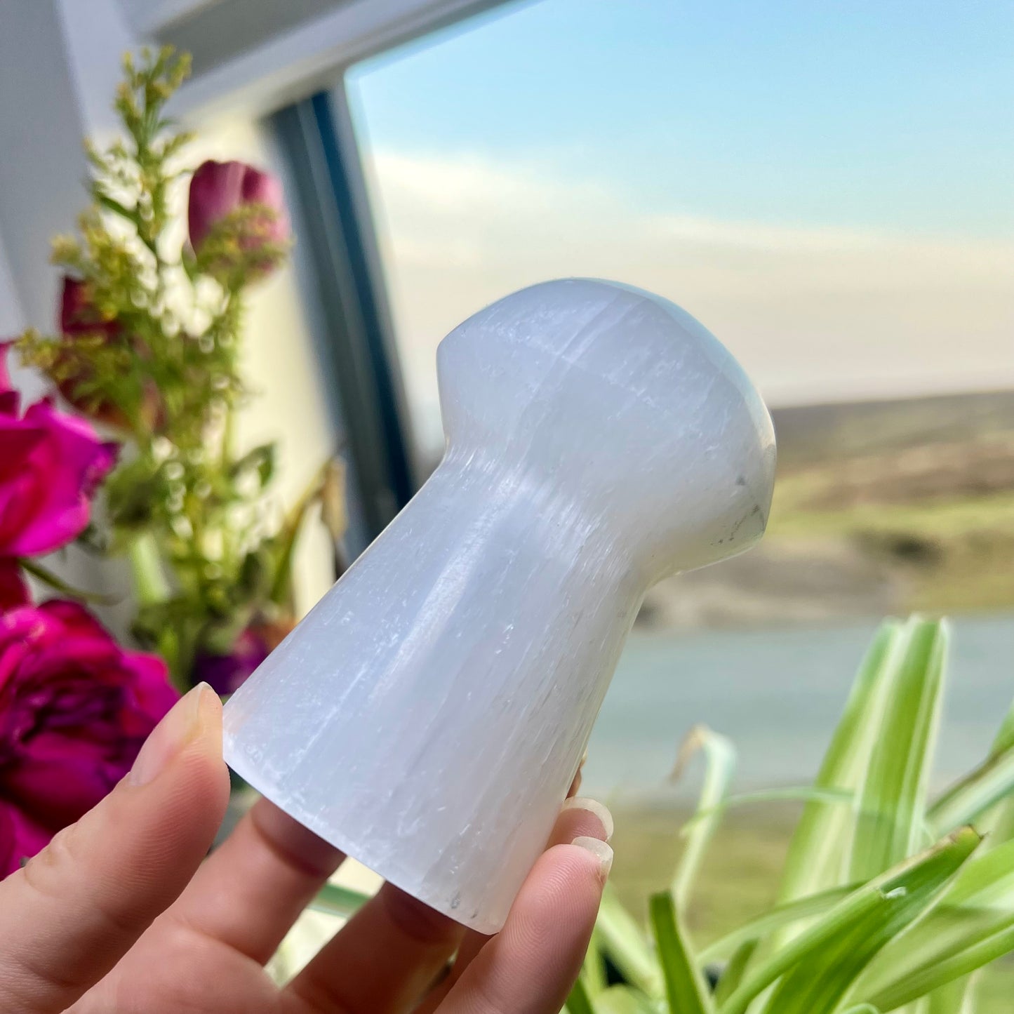 Selenite Mushroom