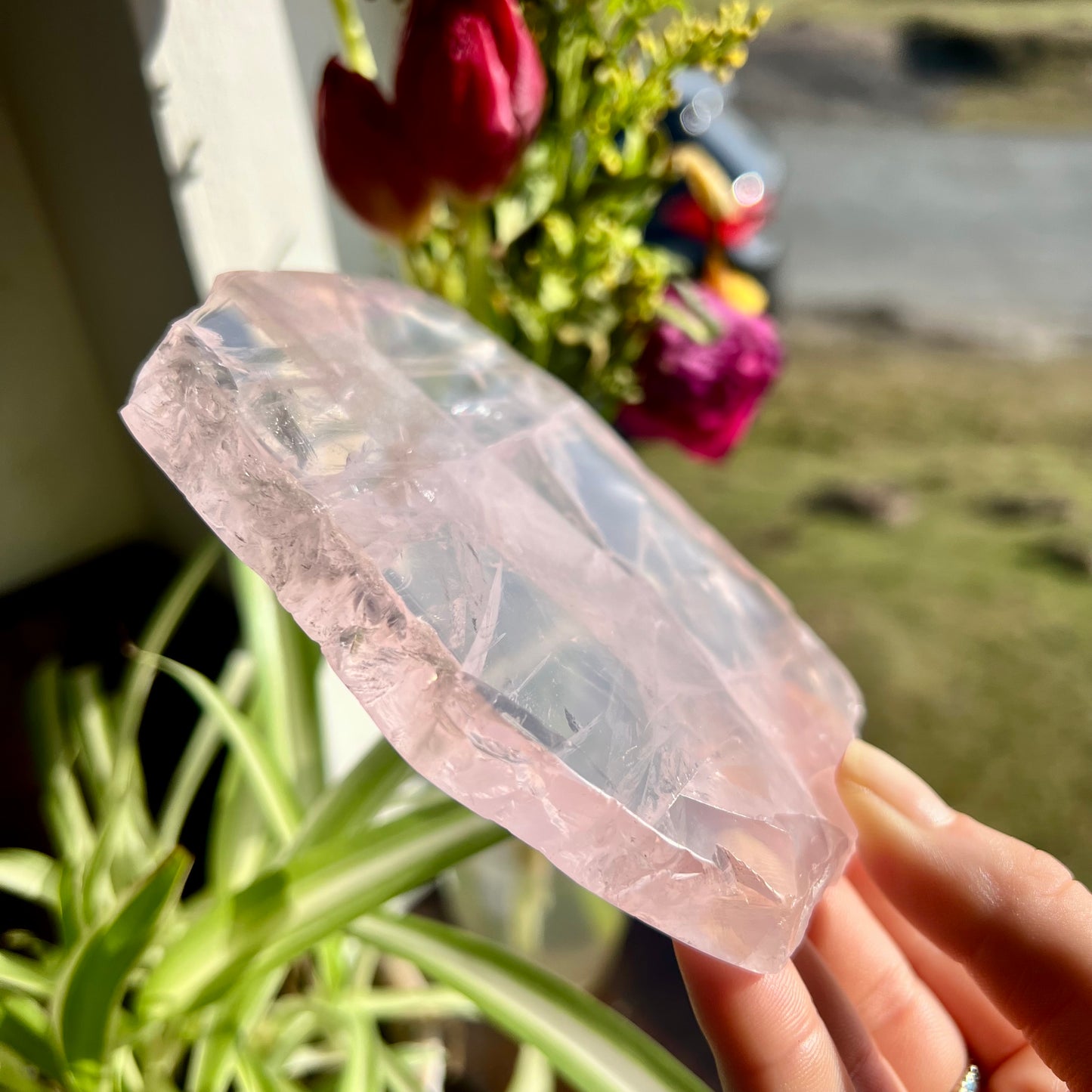 Rose Quartz Slab Coasters
