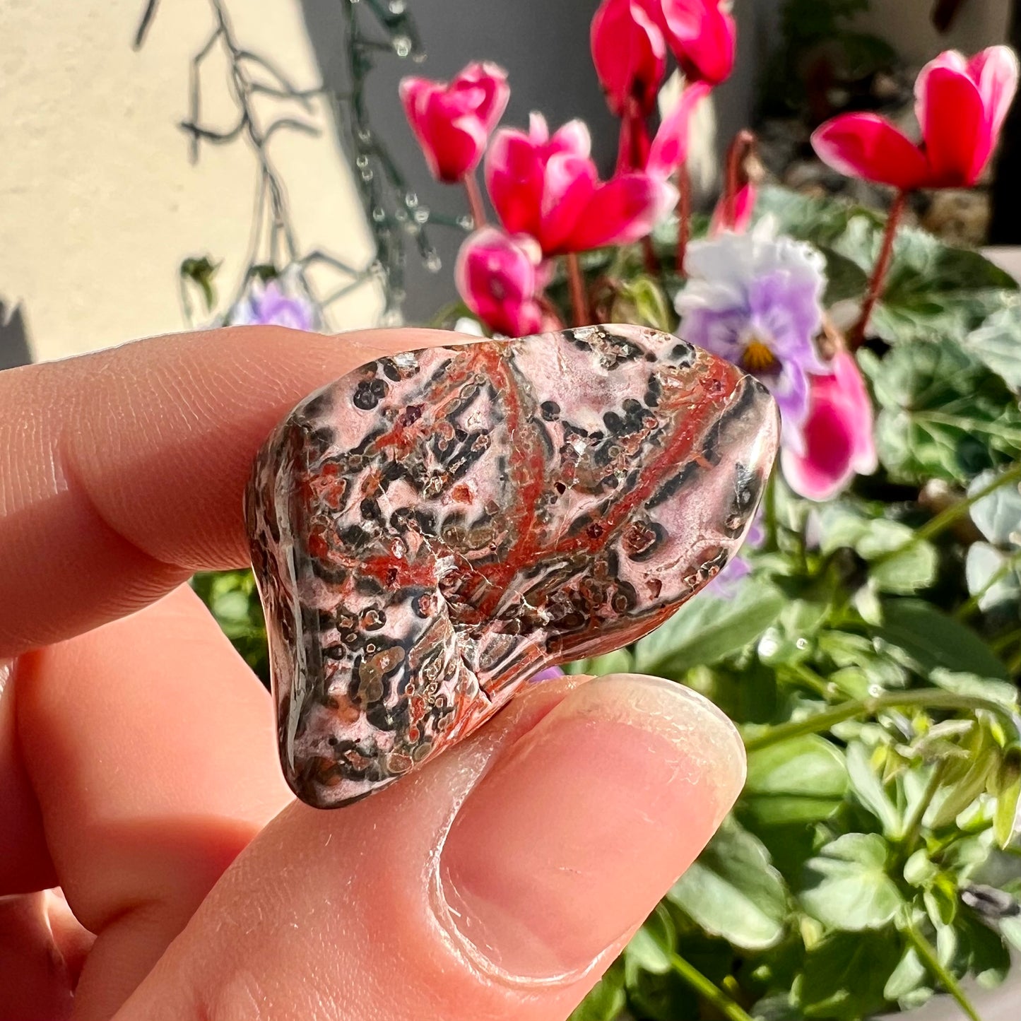 Leopard Skin Jasper Crystal Tumblestone