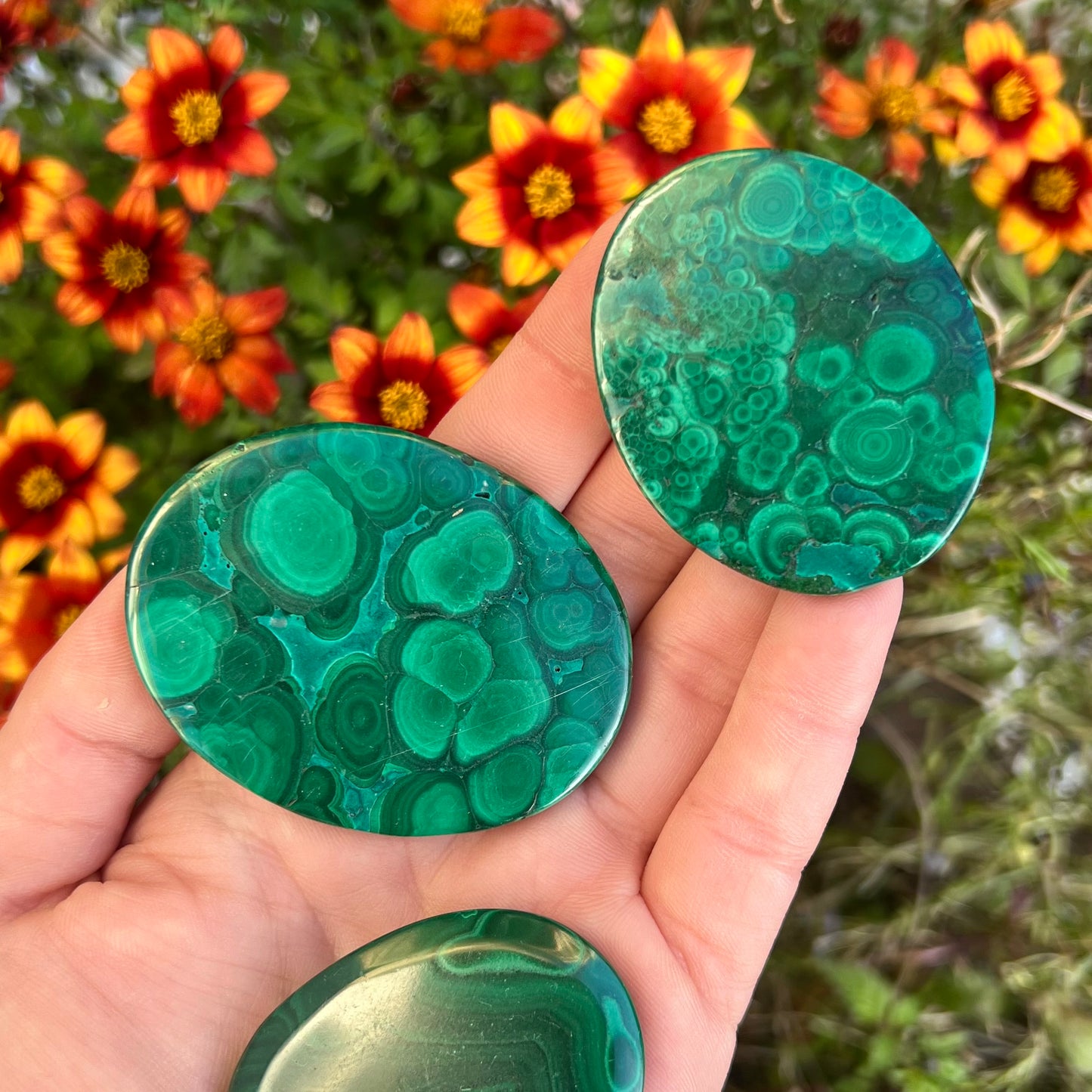 Malachite Crystal Palmstones