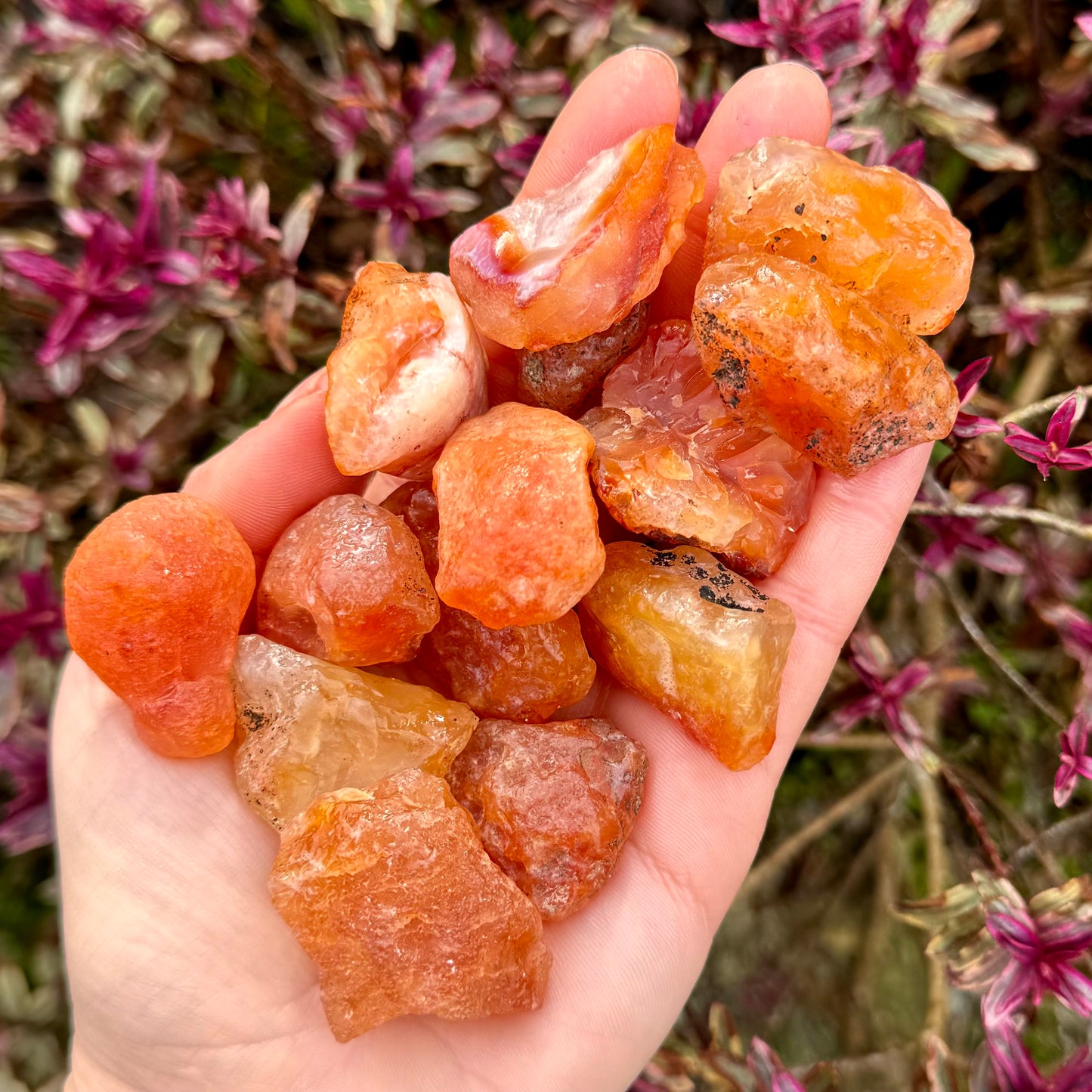 Carnelian Raw Crystal