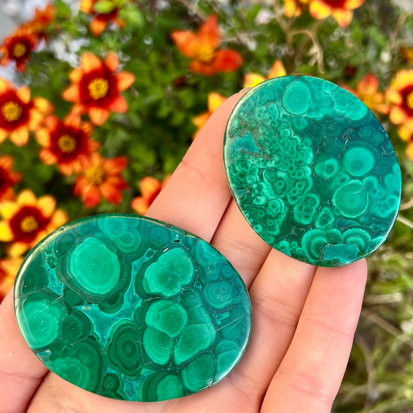 Malachite Crystal Palmstones