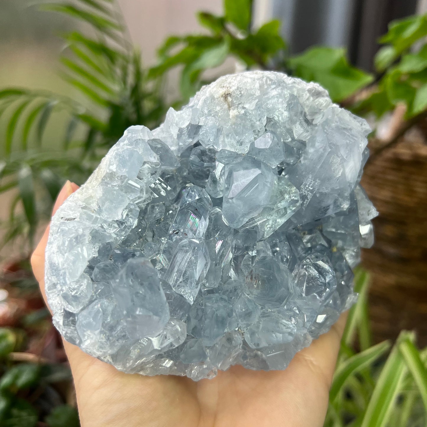 Celestite High Grade Cluster 777g