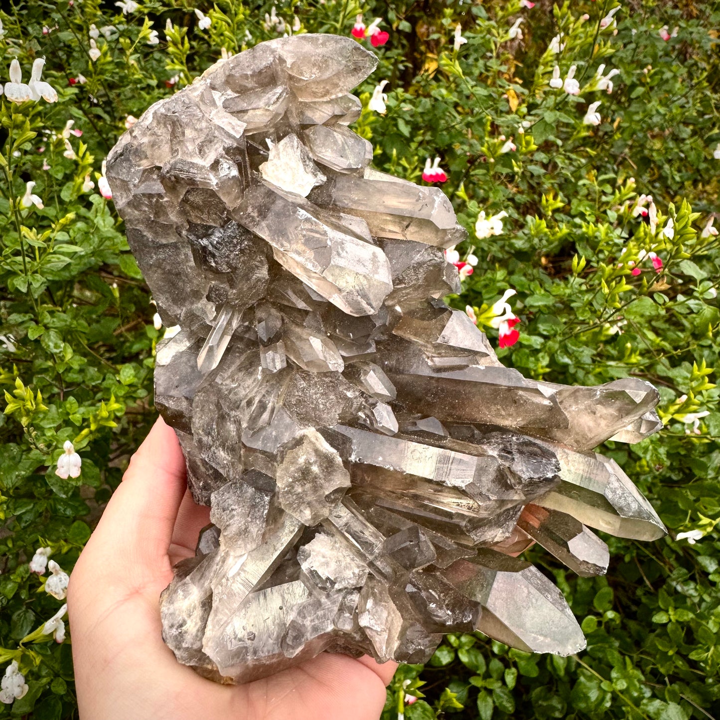 Smokey Quartz High Quality Crystal Point Cluster 1KG