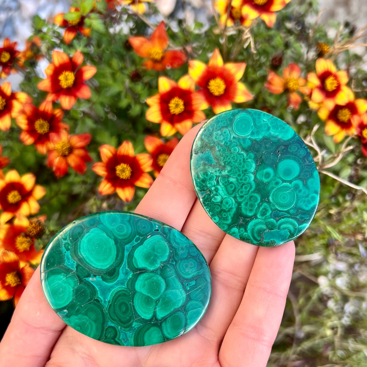 Malachite Crystal Palmstones
