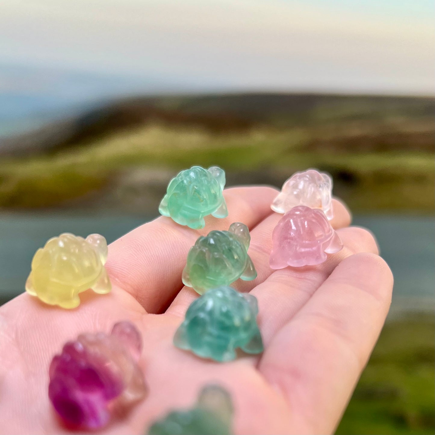 Miniature Fluorite Turtles