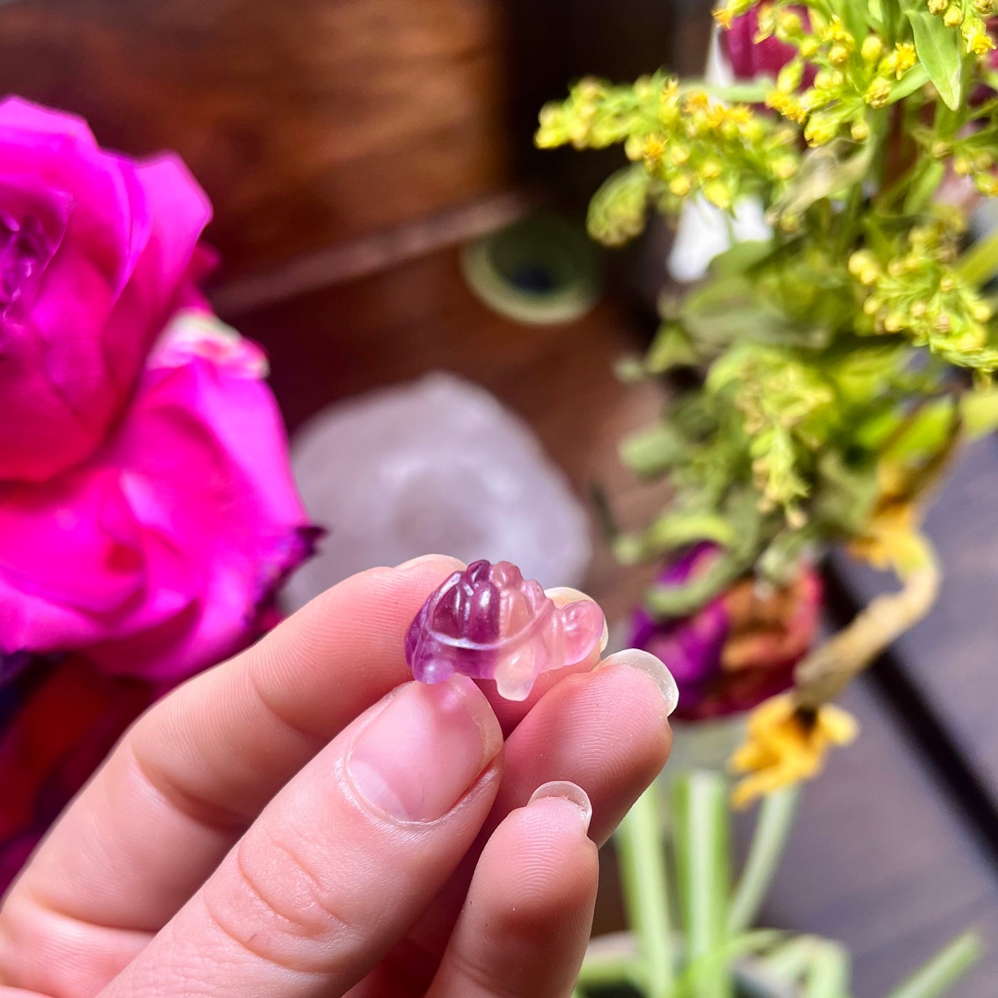 Miniature Fluorite Turtles