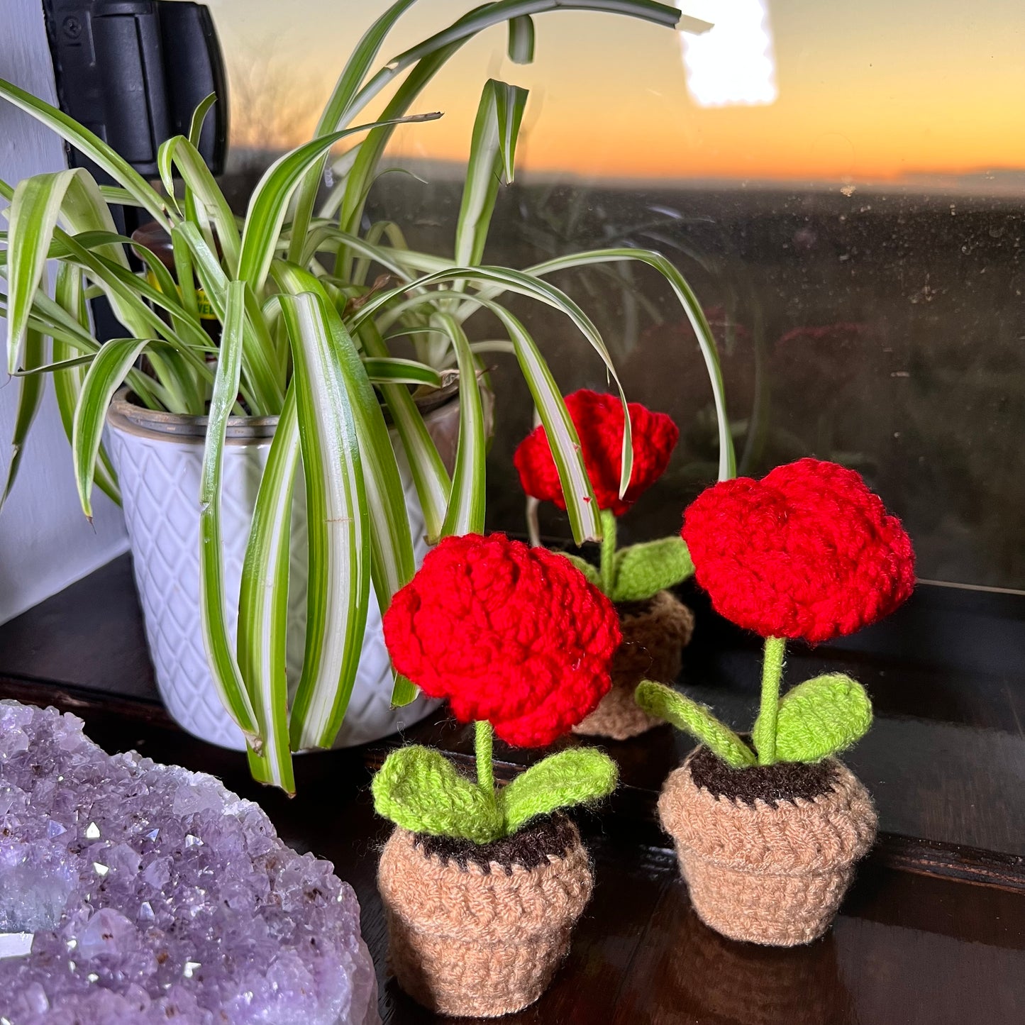Crochet House Plants - Roses