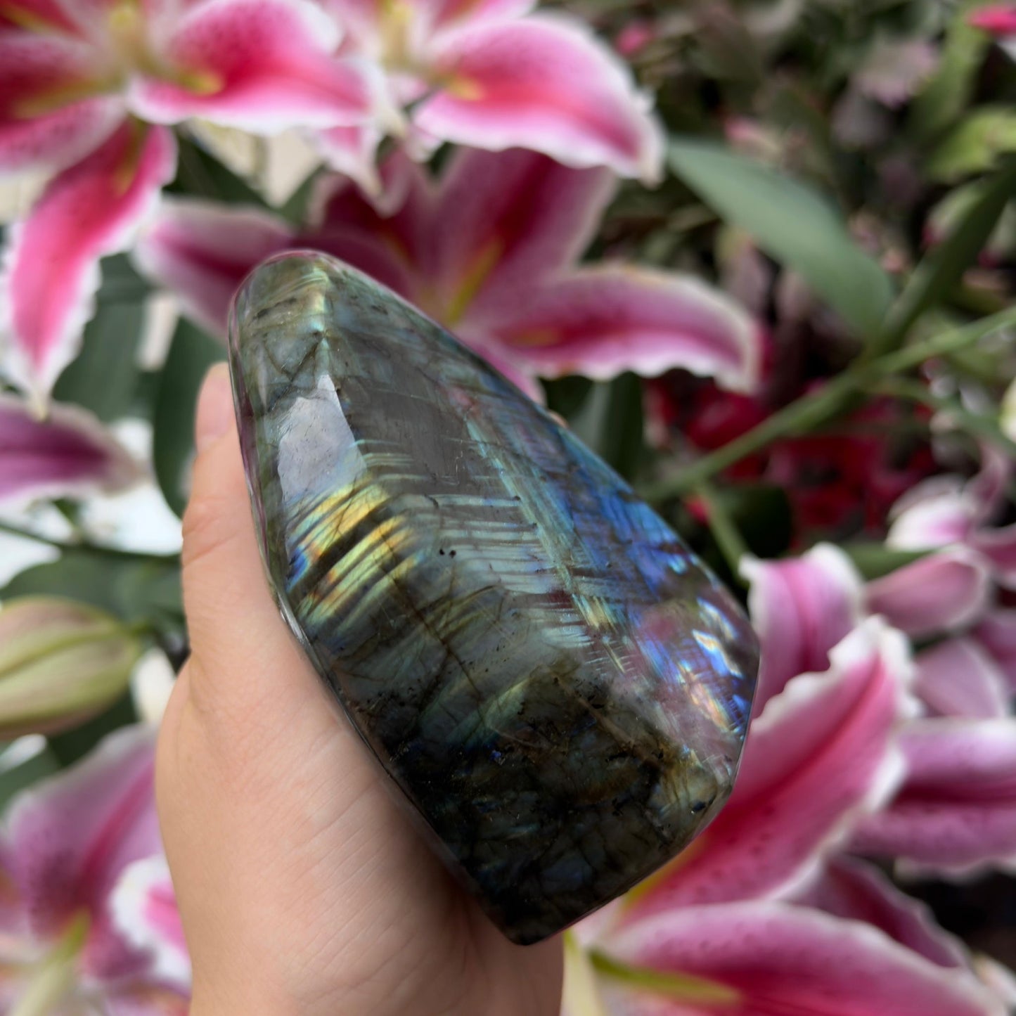 Natural Labradorite Freeform