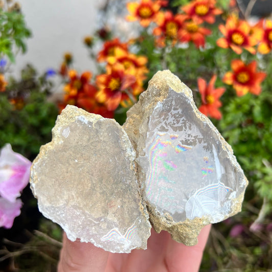 Raw Desert Calcite Geode 141g