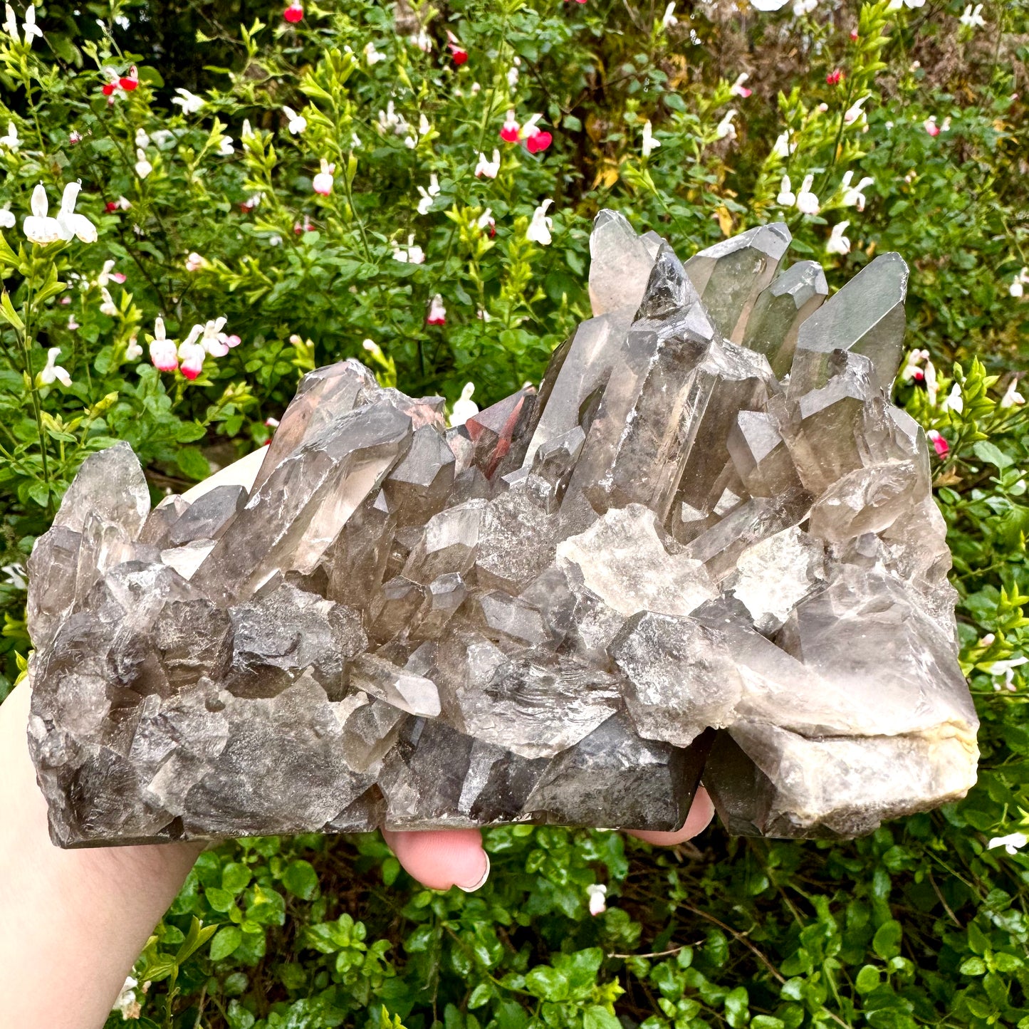 Smokey Quartz High Quality Crystal Point Cluster 1KG
