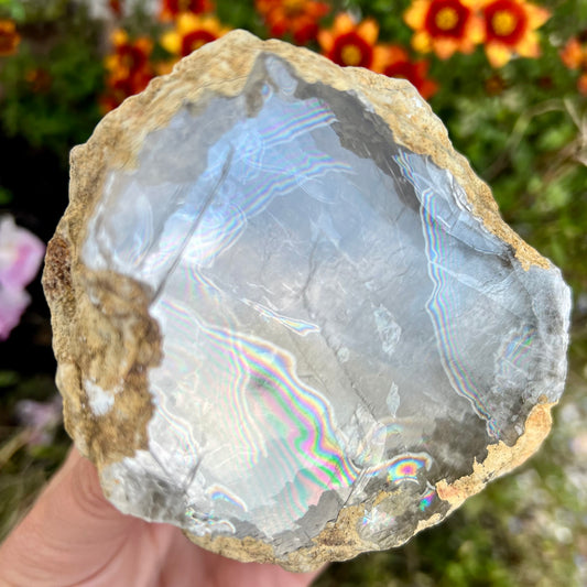 Raw Desert Calcite Geode Slice 577g