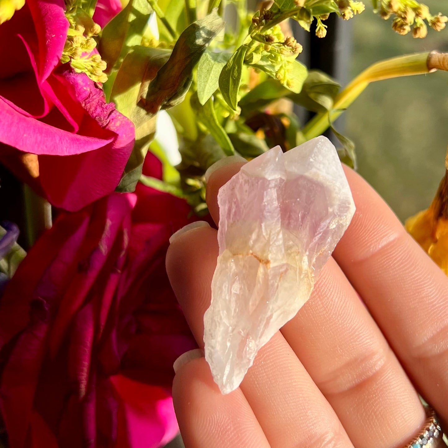 Amethyst Coated Phantom Point